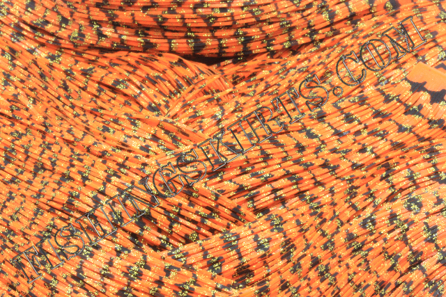 Featured image for “Orange Barbed Wire Gold Glitter Scale”