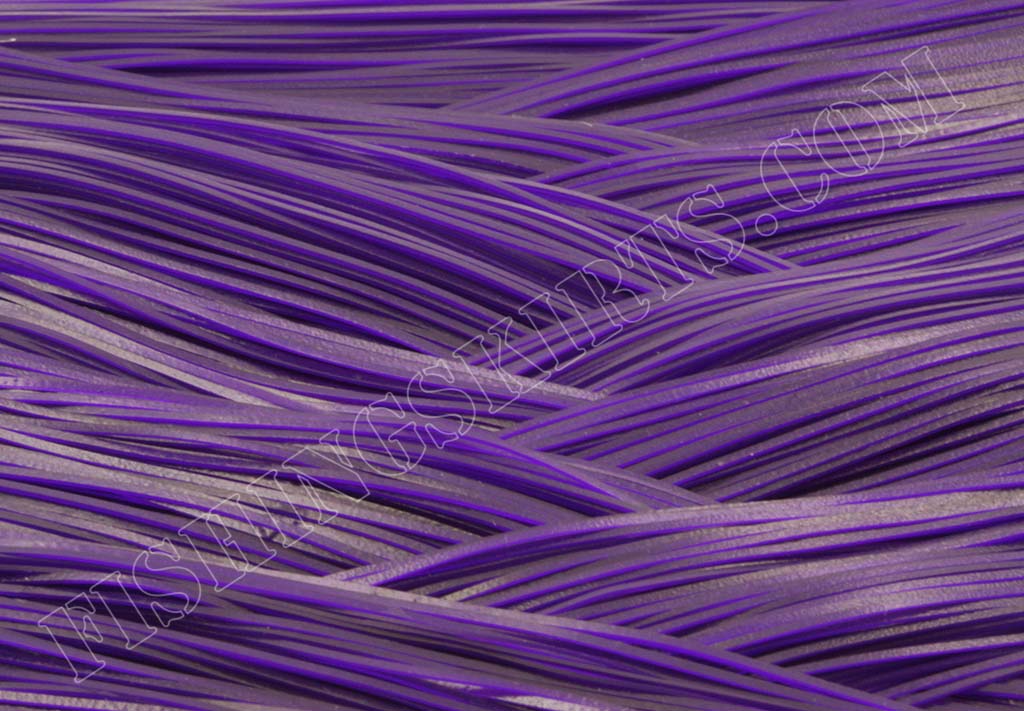 Featured image for “Solid Purple”